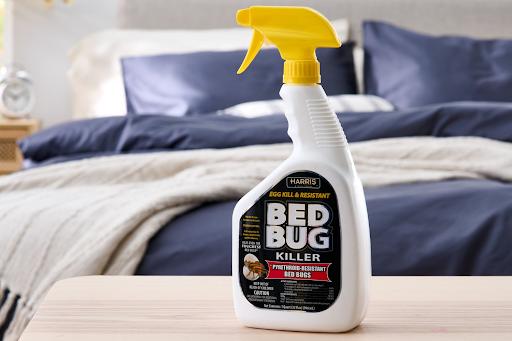 How To Get Rid Of Bed Bugs In Mattress 