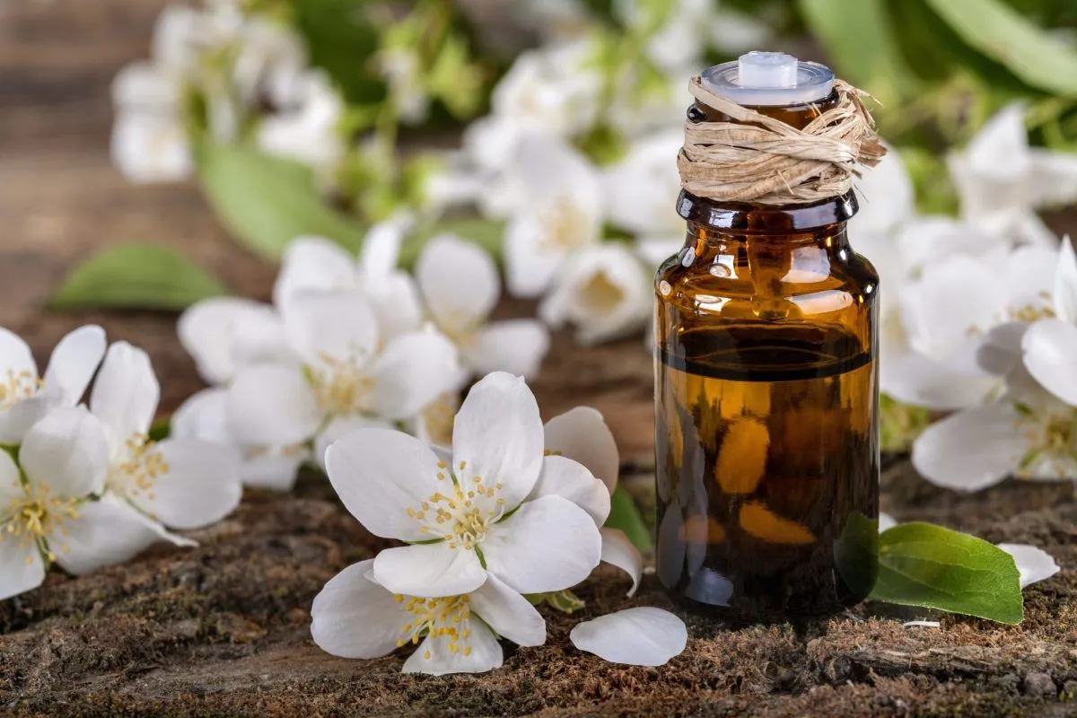 best smelling essential oil - jasmine